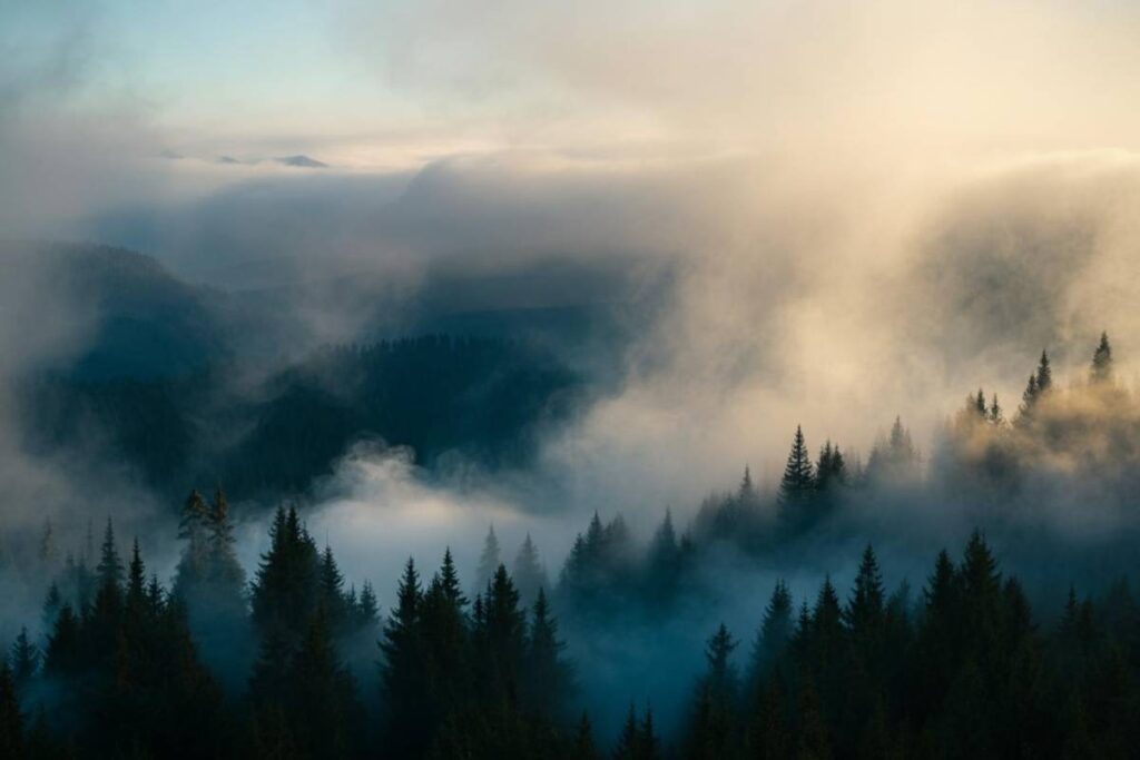 8644_1_nebbia-iccivitella.it