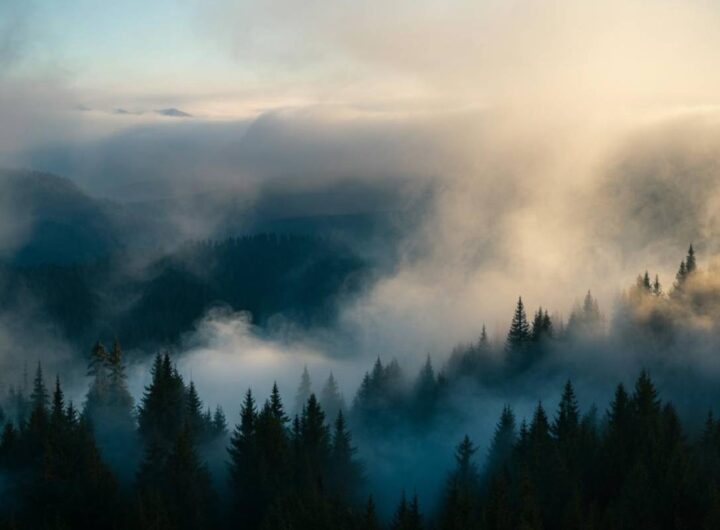 8644_1_nebbia-iccivitella.it