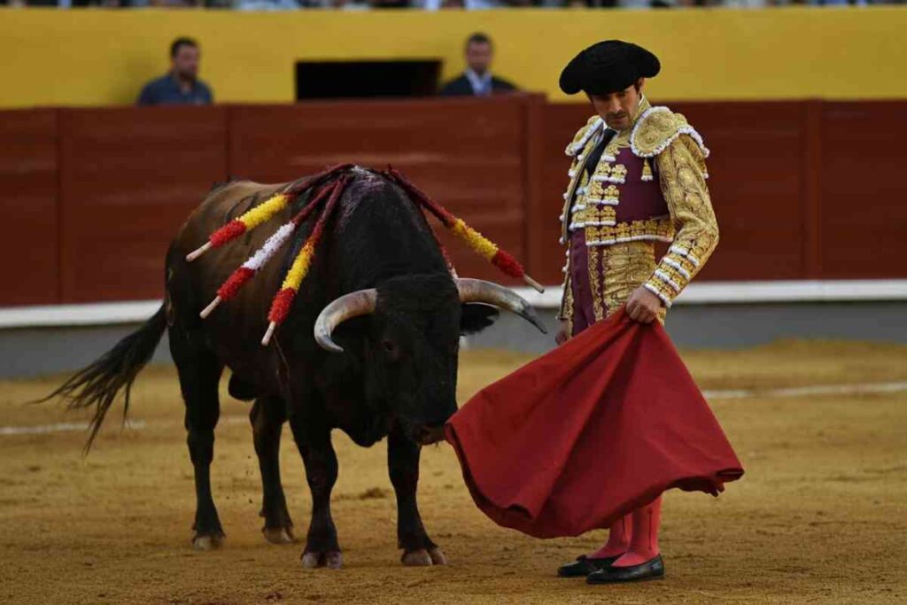 8651_1_matador_spagnolo_con_toro_-iccivitella.it