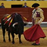 8651_1_matador_spagnolo_con_toro_-iccivitella.it
