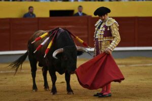 8651_1_matador_spagnolo_con_toro_-iccivitella.it