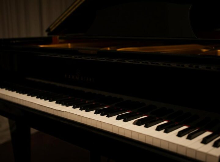 8688_1_pianoforte-iccivitello.it